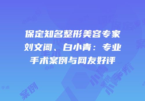 保定知名整形美容专家刘文阁、白小青：专业手术案例与网友好评