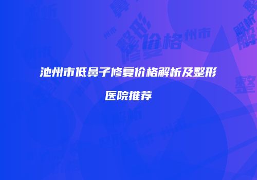 池州市低鼻子修复价格解析及整形医院推荐