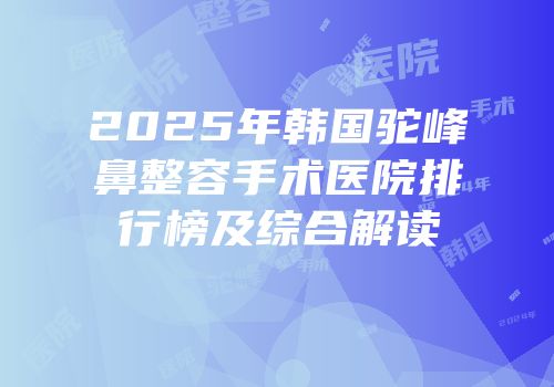 2025年韩国驼峰鼻整容手术医院排行榜及综合解读