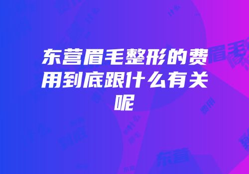东营眉毛整形的费用到底跟什么有关呢