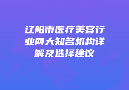 辽阳市医疗美容行业两大知名机构详解及选择建议