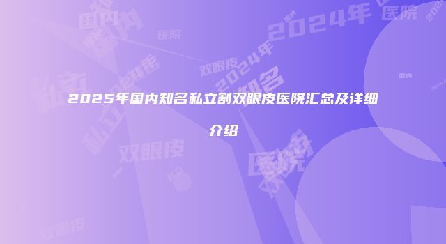 2025年国内知名私立割双眼皮医院汇总及详细介绍