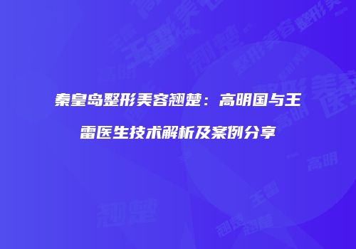 秦皇岛整形美容翘楚：高明国与王雷医生技术解析及案例分享