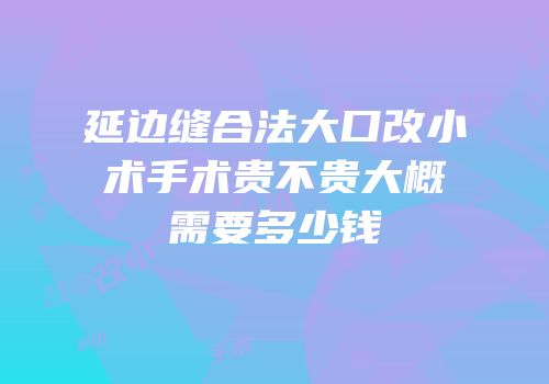 延边缝合法大口改小术手术贵不贵大概需要多少钱