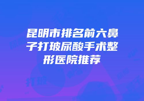 昆明市排名前六鼻子打玻尿酸手术整形医院推荐