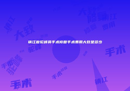 镇江做驼峰鼻手术修复手术费用大致是多少