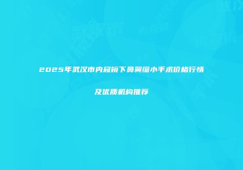 2025年武汉市内窥镜下鼻翼缩小手术价格行情及优质机构推荐