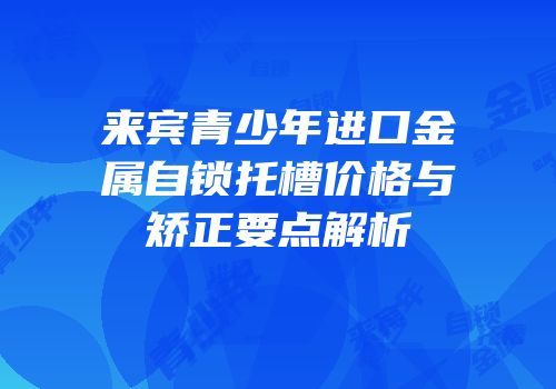 来宾青少年进口金属自锁托槽价格与矫正要点解析