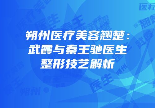 朔州医疗美容翘楚：武霞与秦王驰医生整形技艺解析