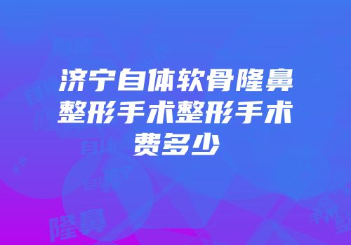 济宁自体软骨隆鼻整形手术整形手术费多少