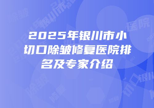 2025年银川市小切口除皱修复医院排名及专家介绍
