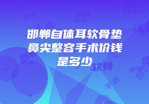 邯郸自体耳软骨垫鼻尖整容手术价钱是多少