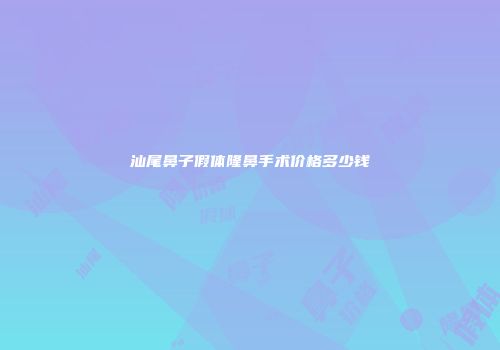 汕尾鼻子假体隆鼻手术价格多少钱