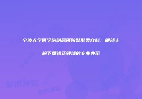 宁波大学医学院附属医院整形美容科：眼部上睑下垂矫正领域的专业典范