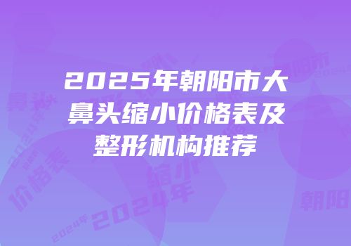 2025年朝阳市大鼻头缩小价格表及整形机构推荐