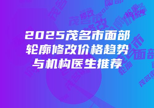 2025茂名市面部轮廓修改价格趋势与机构医生推荐