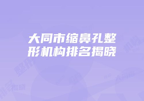 大同市缩鼻孔整形机构排名揭晓