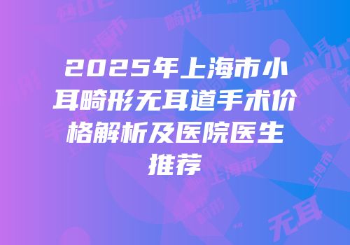 2025年上海市小耳畸形无耳道手术价格解析及医院医生推荐