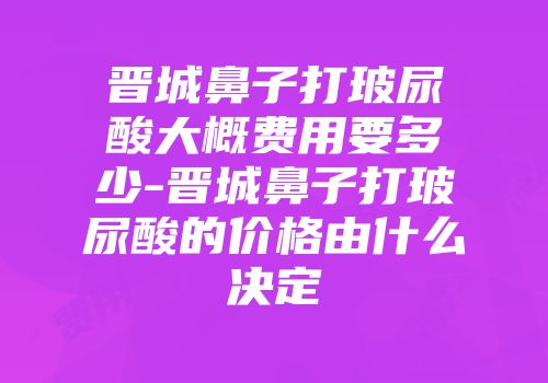 晋城鼻子打玻尿酸大概费用要多少-晋城鼻子打玻尿酸的价格由什么决定