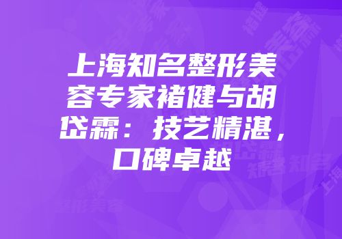 上海知名整形美容专家褚健与胡岱霖：技艺精湛，口碑卓越