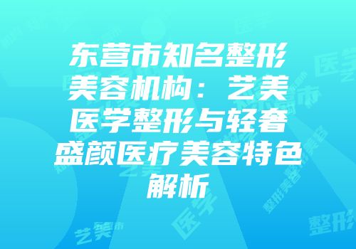 东营市知名整形美容机构：艺美医学整形与轻奢盛颜医疗美容特色解析