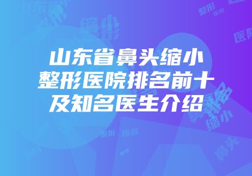 山东省鼻头缩小整形医院排名前十及知名医生介绍