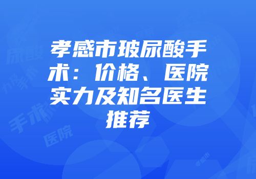 孝感市玻尿酸手术：价格、医院实力及知名医生推荐