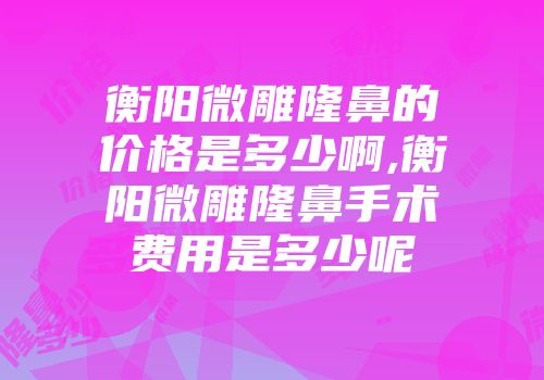 衡阳微雕隆鼻的价格是多少啊,衡阳微雕隆鼻手术费用是多少呢