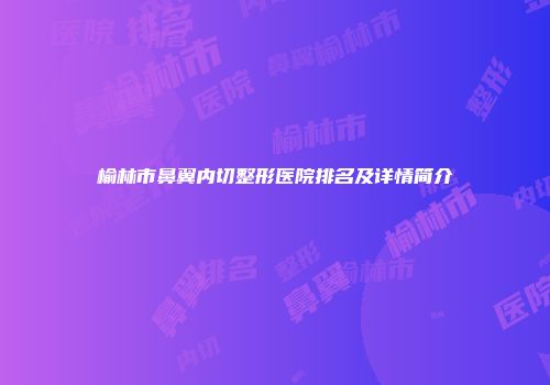 榆林市鼻翼内切整形医院排名及详情简介