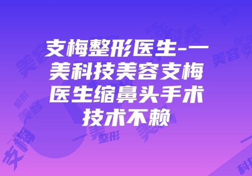 支梅整形医生-一美科技美容支梅医生缩鼻头手术技术不赖