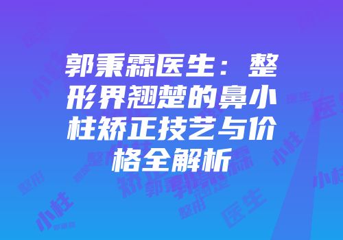 郭秉霖医生：整形界翘楚的鼻小柱矫正技艺与价格全解析